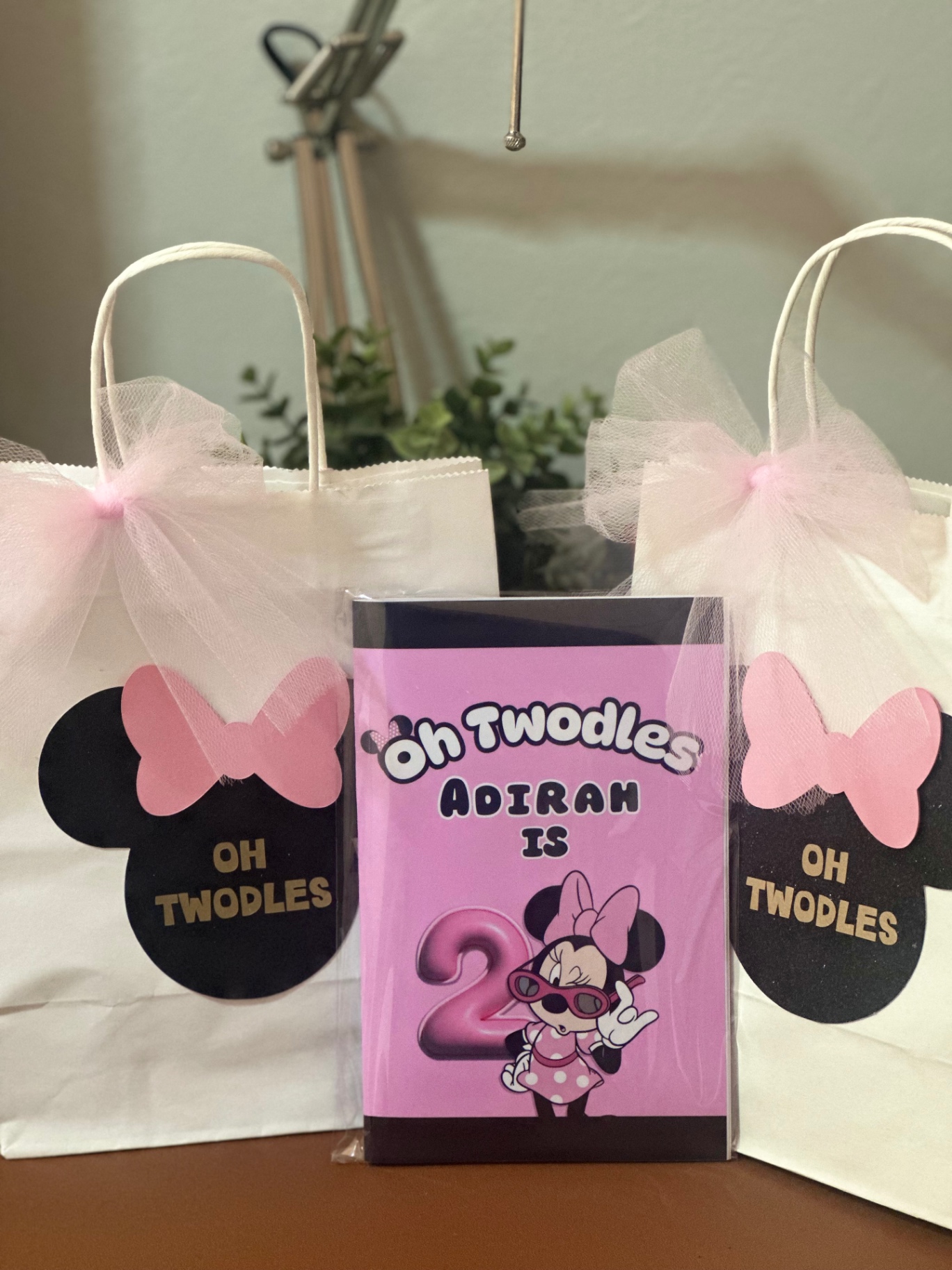 Oh Twodles Gift Bags